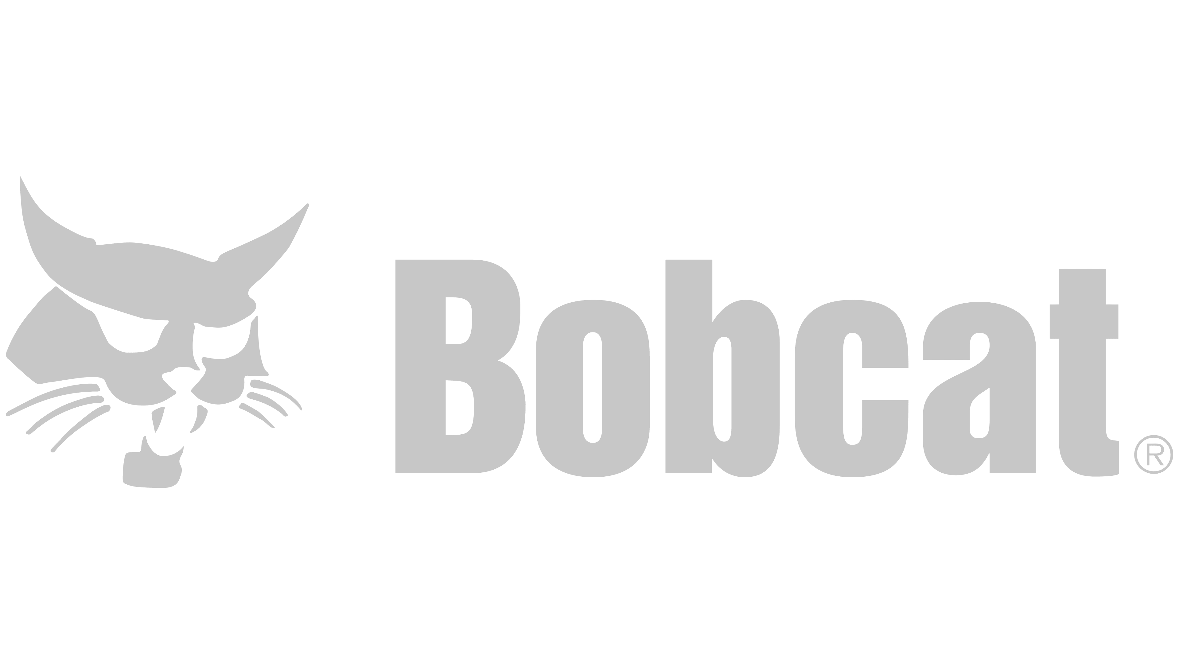 Bobcat